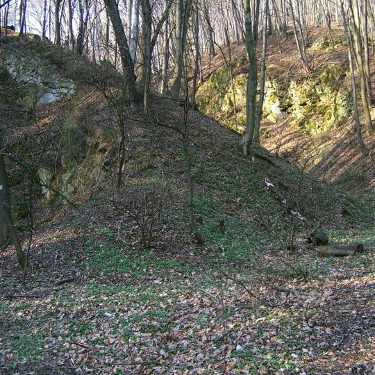 Rezerwat przyrody Bielańskie Skałki