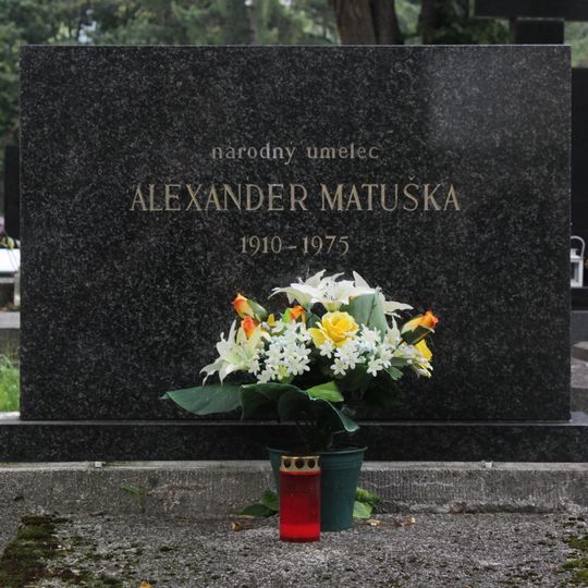 Cintorín ev. a. v. , hrob s náhrobníkom