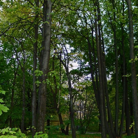 Парк на территории института материаловедения