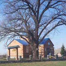 Андріяшівський дуб