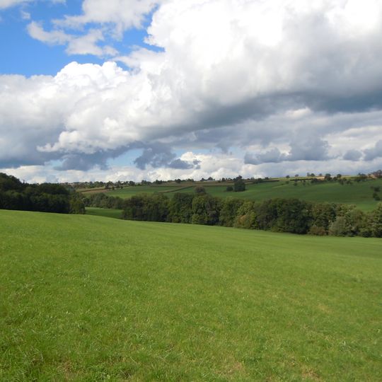 Höllbach mit Ufergehölz