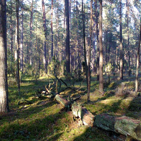 Rezerwat przyrody Mingos