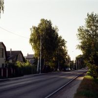 Цибино (Москван область)