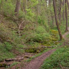 Rachental NE von Berching