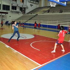 Al-Assad Sports Arena
