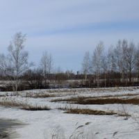 Smidovichsky District