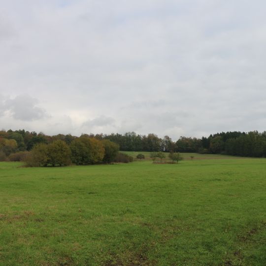 Wiesen nördlich Lahr