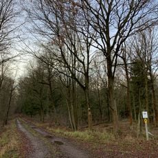 Teichlandschaft Buchwäldchen- Muckwar