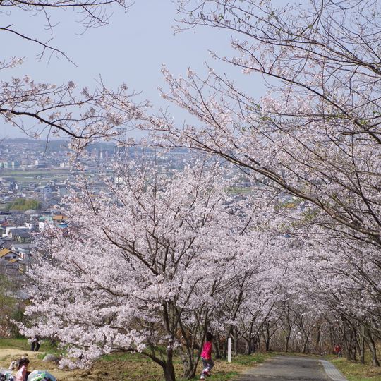Chikatsu Asuka Fudoki-No-Oka Historical Park