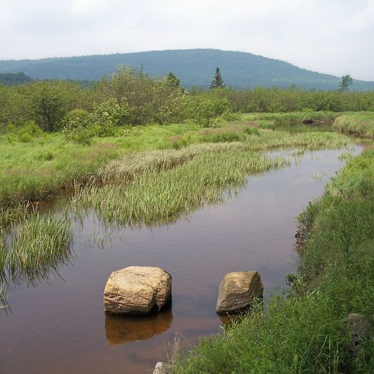 Canaan Valley Resort State Park