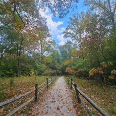 Hoosier National Forest