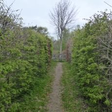 Eckernförder Heckenlabyrinth