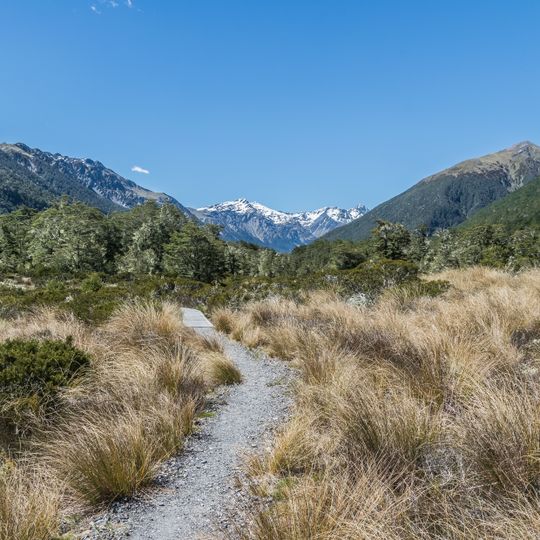 Lewis Pass Scenic Reserve