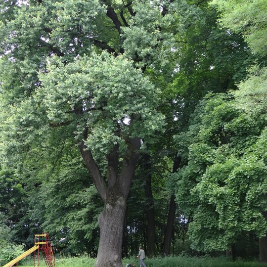 Manor park in Wielkie Drogi