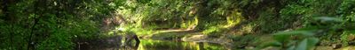 Panoramic View 1