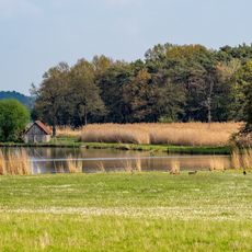 Vogelfreistätte Weihergebiet bei Mohrhof