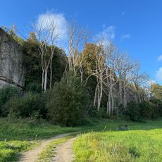 Norra Ejgde randlövskog