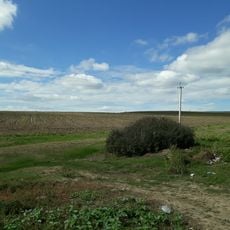 Burghelea II settlement