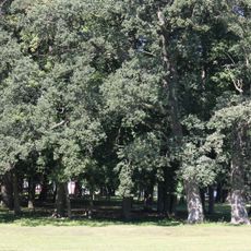 Park pałacowy z alejami dojazdowymi, XVIII/XIX