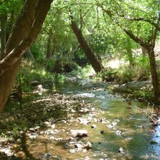 Groenkloof Nature Reserve