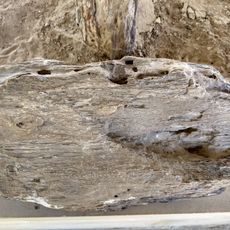 Akal Wood Fossil Park