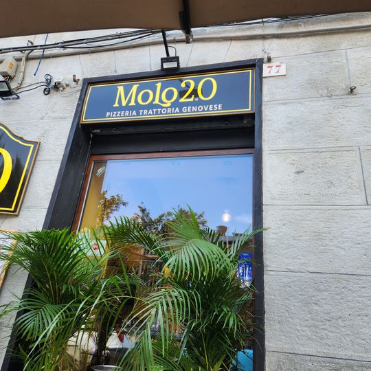 Molo
