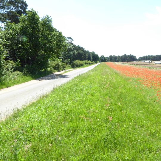 Cherry Hill and The Gallops, Barton Mills