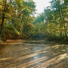 Waldvelen / Ramsdorf-Süd / Gemenkrückling / Sternbusch
