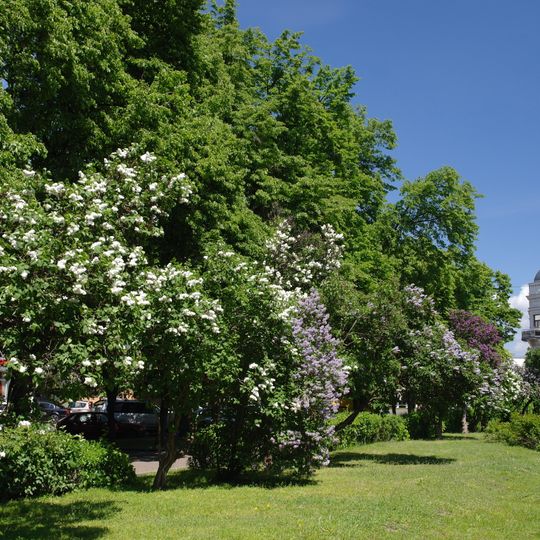 Park on Regional Council Square