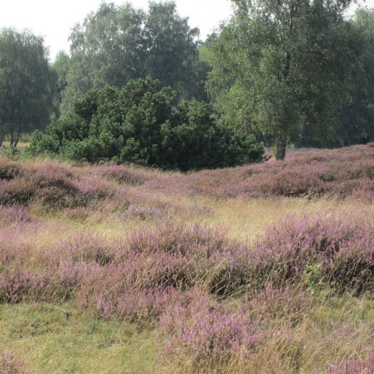 Pestruper Gräberfeld