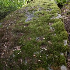 Dolmen of Praz Berthoud