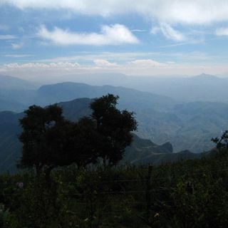 Biosphärenreservat Sierra Gorda