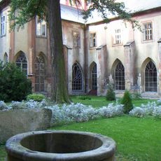 Ginkgo biloba in the Dominican Monastery