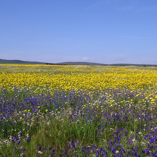 Parque natural de Cornalvo
