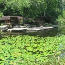 Alfred Caldwell Lily Pool