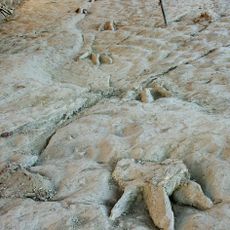 Yacimiento icnológico de Costalomo