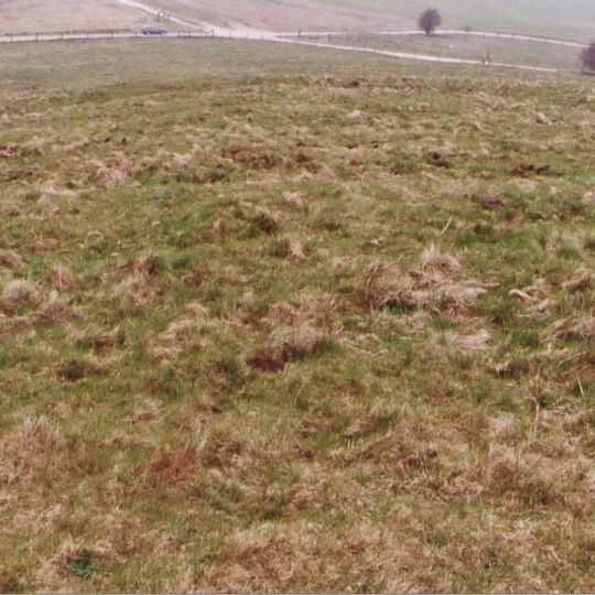 Saucer barrow: part of a barrow cemetery west of Barbury Castle