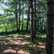 Cookville Provincial Park