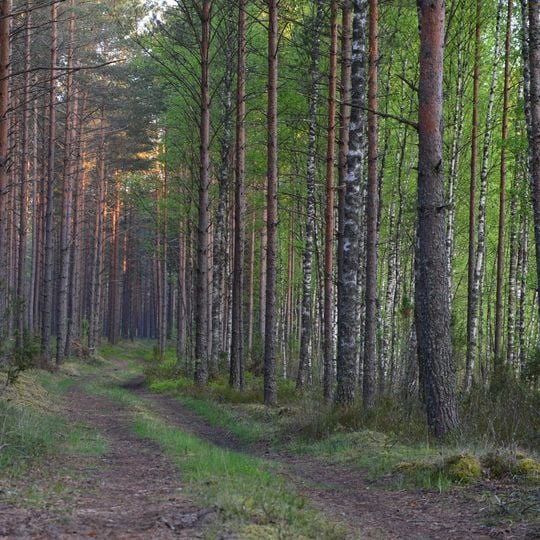 Mustoja Nature Park