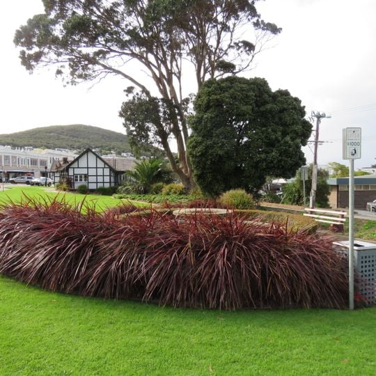 Taxi Rank & Women's Rest Room