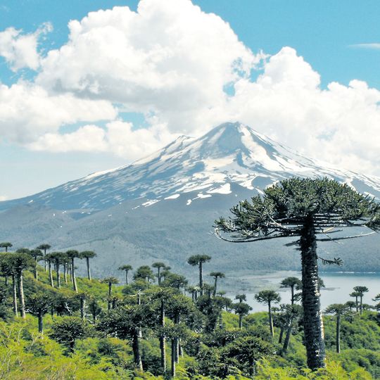 Parco nazionale di Conguillío