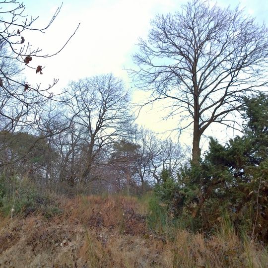 Naturschutzgebiet Herrnberg von Groß-Umstadt