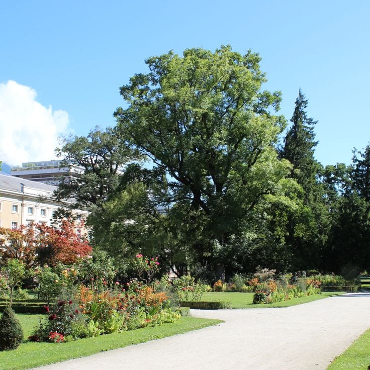 Jardim das Plantas de Grenoble