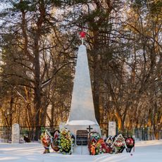 Братская могила воинов, умерших от ран (1941-1945) (Александровка)