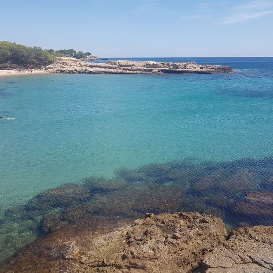 Cala Trebol