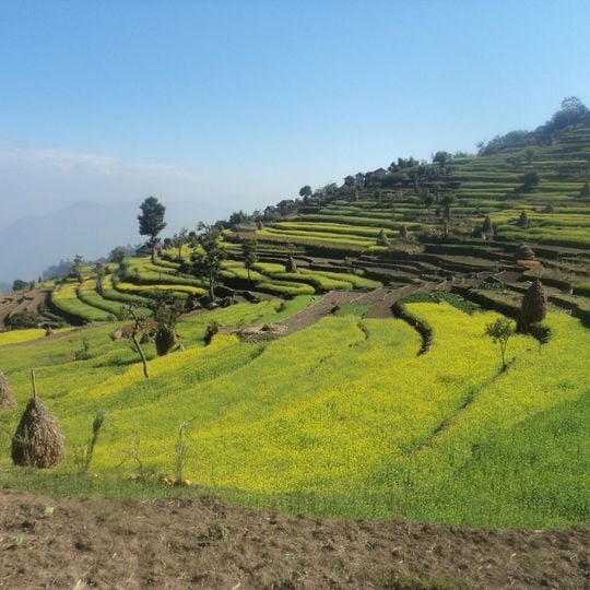 Distretto di Sindhuli