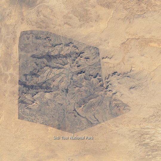 Parc national de Sidi Toui