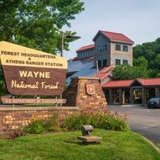 Wayne National Forest