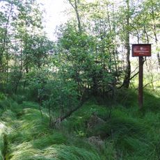Nature reserve Rotuz