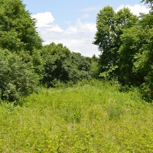 Sitio Arqueológico del Cerro Olmo